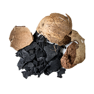 Shell Charcoal